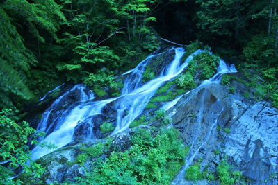 Scenic view of waterfall in forest