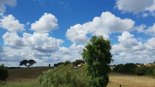 Panoramic view of a field against sky