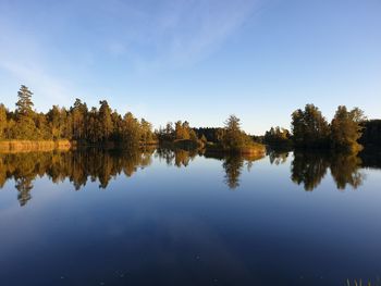 Reflection of trees in lake against blue sky