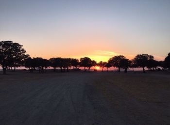 Silhouette trees on field against sky during sunset