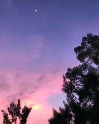 Low angle view of silhouette trees against sky at sunset