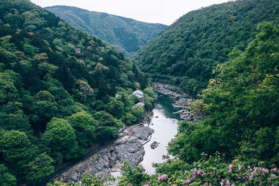 High angle view of river amidst trees in forest