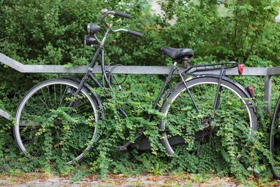 Bicycle parked in a field
