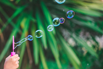 Close-up of bubbles against blurred background