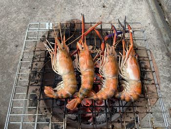 High angle view of fish on barbecue grill