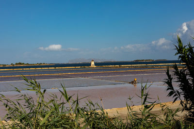 Scenic view of agricultural landscape against sky