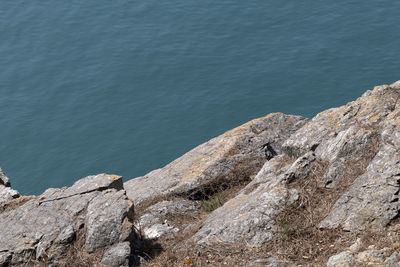 High angle view of rock formation in sea