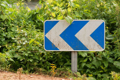 Close-up of directional sign by plants