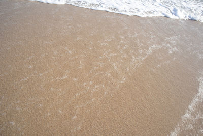 High angle view of beach