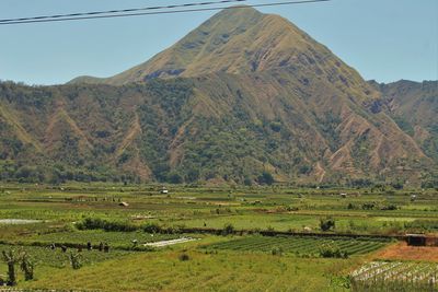 Scenic view of farm against sky