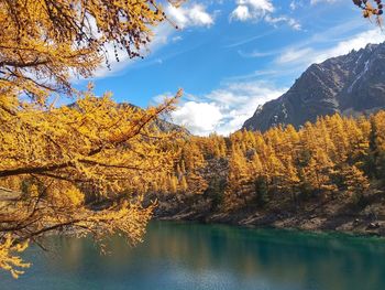 Scenic view of lake against sky during autumn