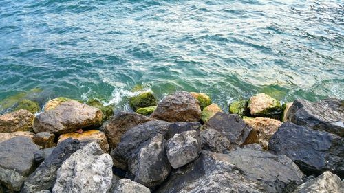 High angle view of rocks in sea