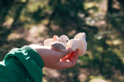 Cropped hand holding mushroom