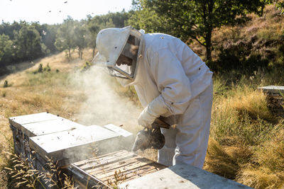 Anonymous beekeeper in protective gloves fumigating beehive with smoker while working on apiary in sunny day