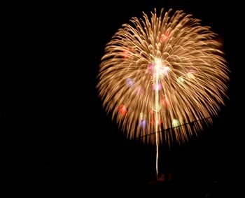 Low angle view of firework display against sky at night