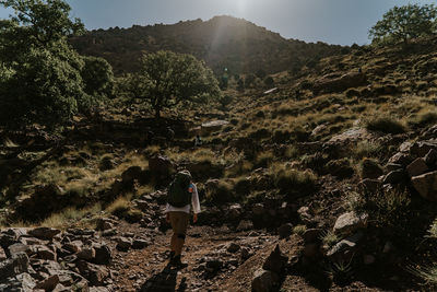 Rear view of woman standing by tree on mountain