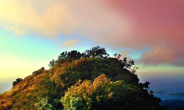 tree, sky, tranquil scene, tranquility, scenics, beauty in nature, sea, sunset, nature, cloud - sky, growth, horizon over water, idyllic, cloud, outdoors, non-urban scene, no people, water, rock - object, cloudy