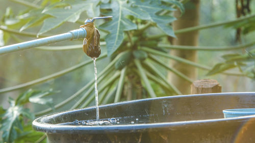 Close-up of wet leaf