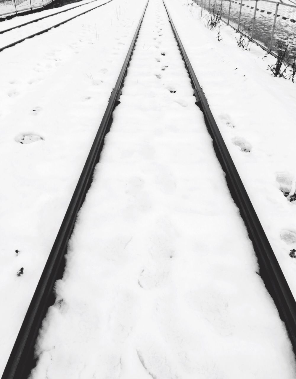 snow, winter, cold temperature, season, weather, covering, white color, covered, frozen, snow covered, nature, tranquility, the way forward, white, day, diminishing perspective, outdoors, snowcapped, high angle view, landscape