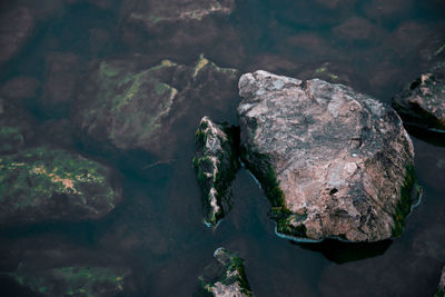 High angle view of rock formation in sea