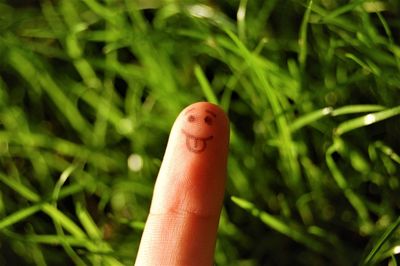 Cropped finger of person with anthropomorphic face against plants