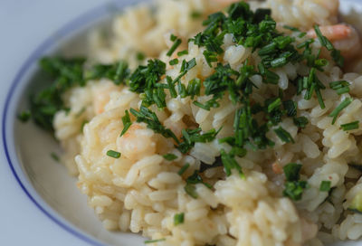 Close-up of food in plate