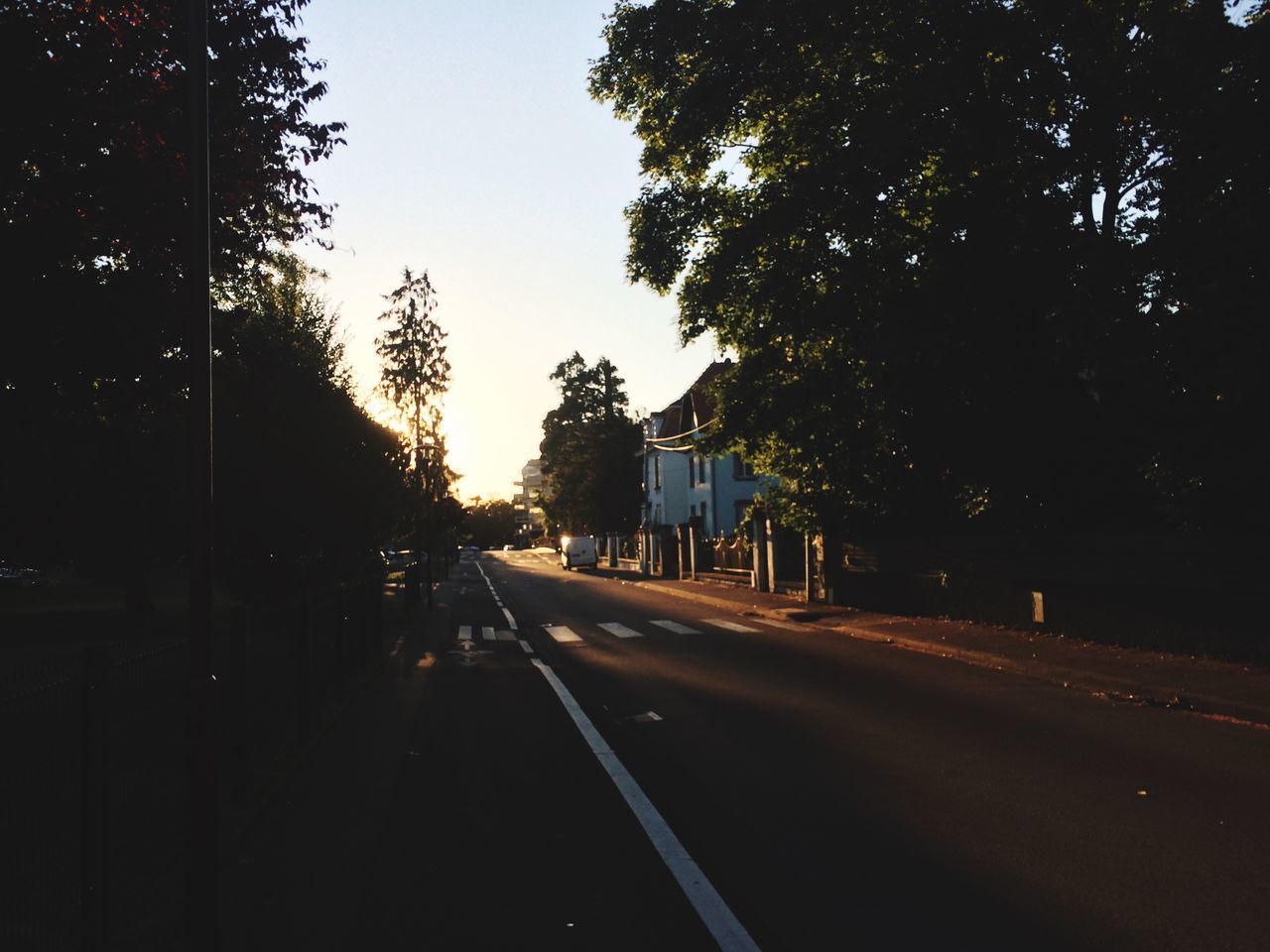 tree, the way forward, road, transportation, street, clear sky, road marking, diminishing perspective, vanishing point, silhouette, empty, sky, outdoors, long, no people, asphalt, empty road, building exterior, sunlight, nature