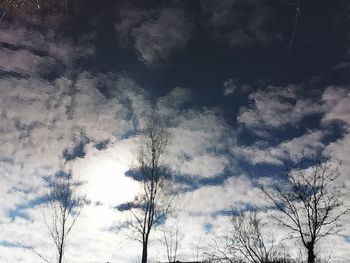 Low angle view of trees against sky