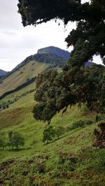 Scenic view of green landscape and mountains against sky