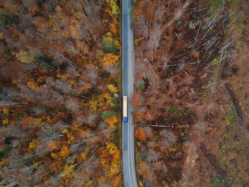 High angle view of trees during autumn