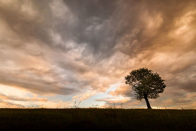 Scenic view of field against sky during sunset