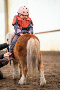 Rear view of woman with dog on field