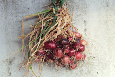 Close-up of tomatoes