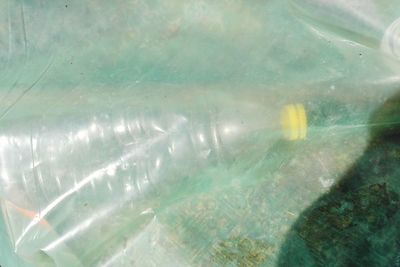 Close-up of fish swimming in sea