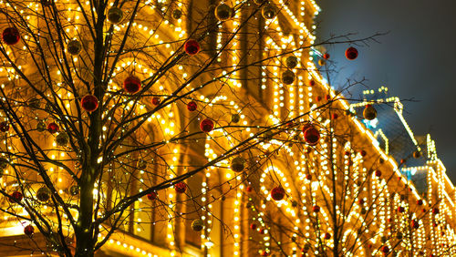 Low angle view of illuminated tree against sky
