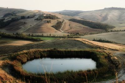 Scenic view of pasture landscape 