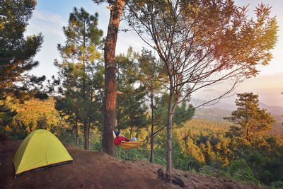 Scenic view of trees and forest during autumn
