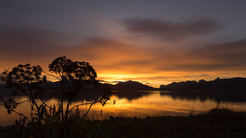 Silhouette trees by lake against sky during sunset