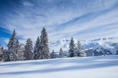 Snow covered land against sky