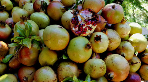 Full frame shot of fruits for sale