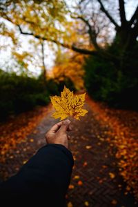 Cropped hand holding maple leaf on road during autumn