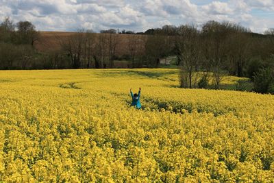 rapeseed