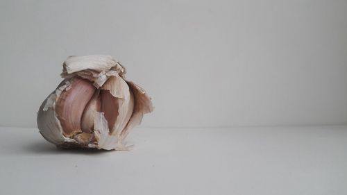 Close-up of wilted on table against white background