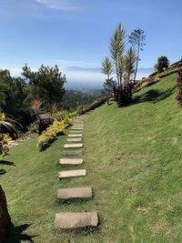 Empty footpath amidst plants against sky