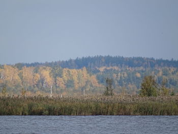 Scenic view of lake against clear sky