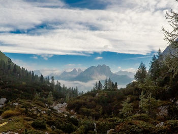 Scenic view of trees and mountains against sky