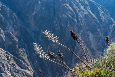 High angle view of mountain range