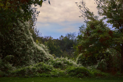 Scenic view of landscape against cloudy sky