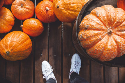 High angle view of pumpkins