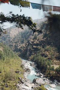 Scenic view of river flowing through forest